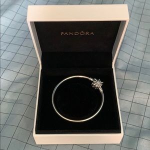 Pandora limited edition bangle bracelet